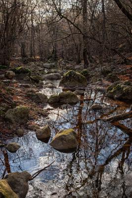 Прикрепленное изображение: IMG_9741 копия.jpg